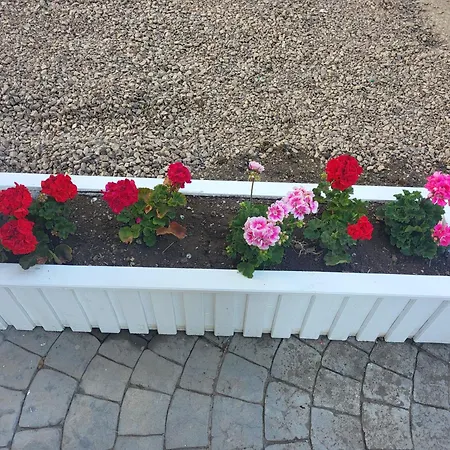 мареа Apartment Sveti Vlas